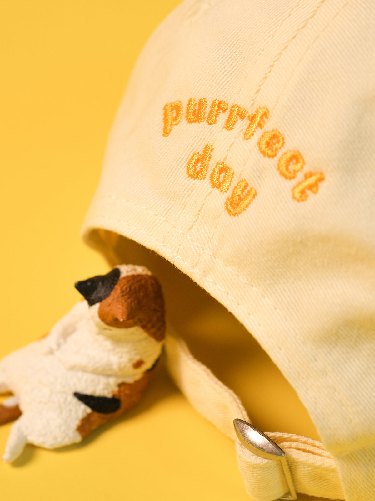 Purrfect Day Cat | Pastel Yellow Hat