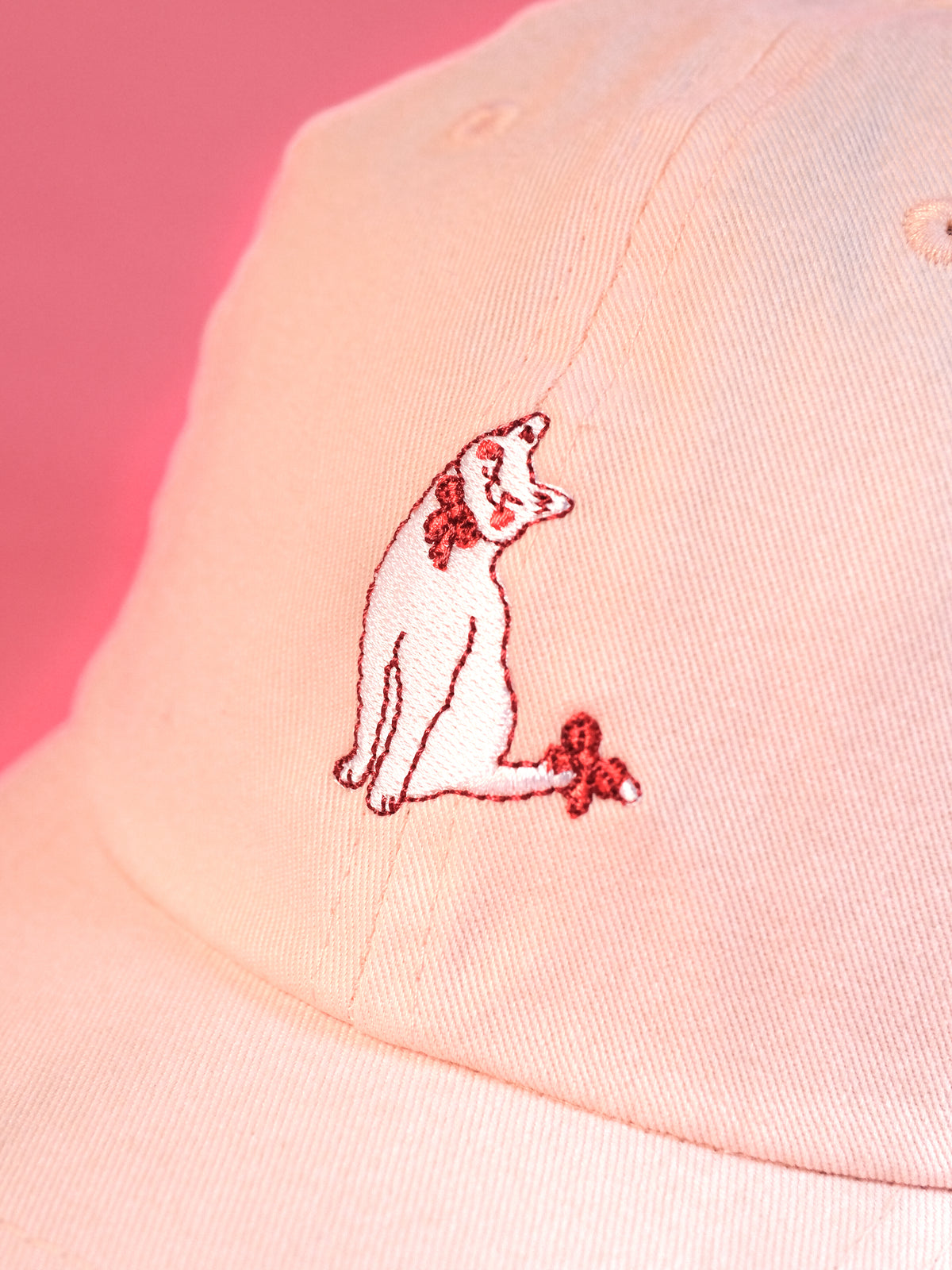 Mindful & Demure Cat | Pastel Pink Hat