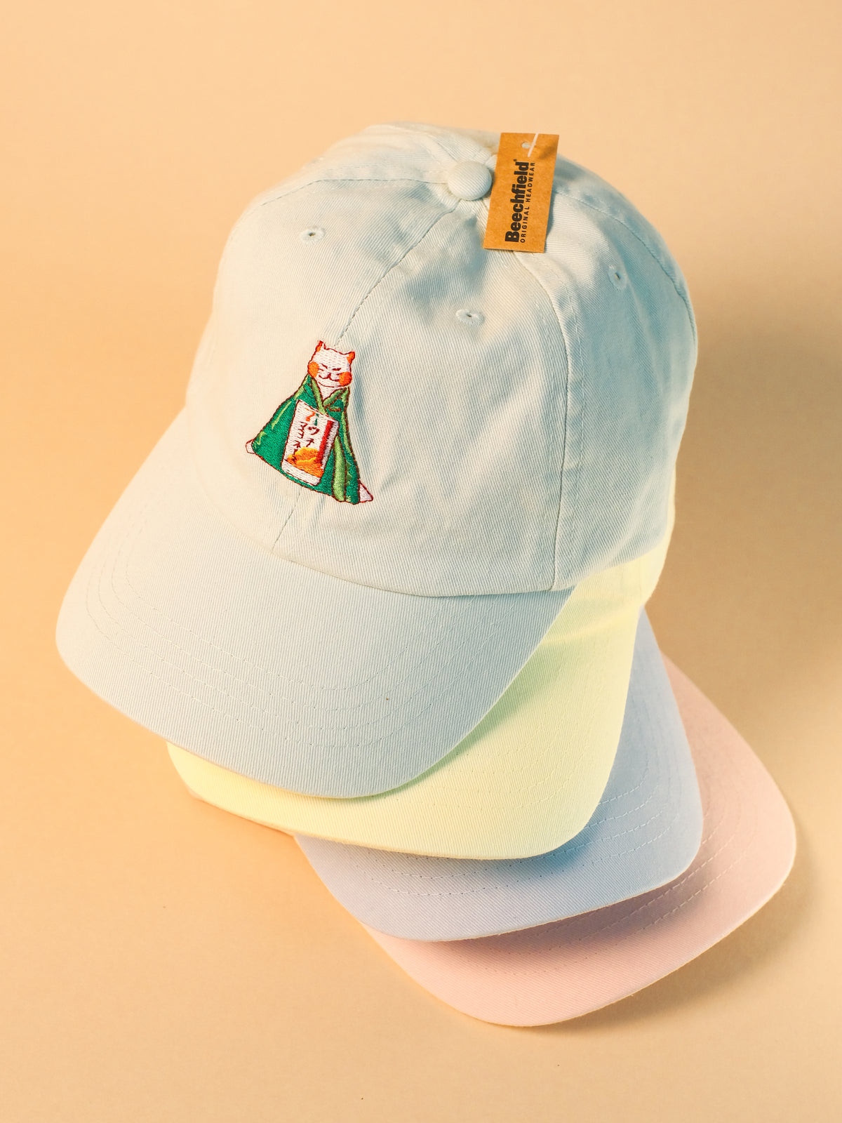 Stay Cozy Cat | Pastel Green Hat